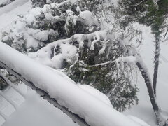 20220402_095440.jpg