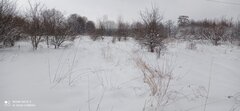 IMG_20220403_134339.jpg