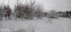 IMG_20220403_134134.jpg