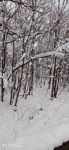 IMG_20220403_134024.jpg