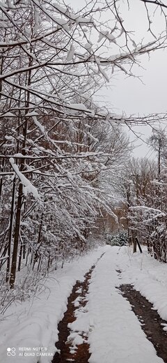 IMG_20220403_134004.jpg