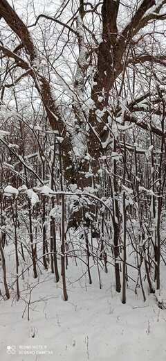 IMG_20220403_134017.jpg