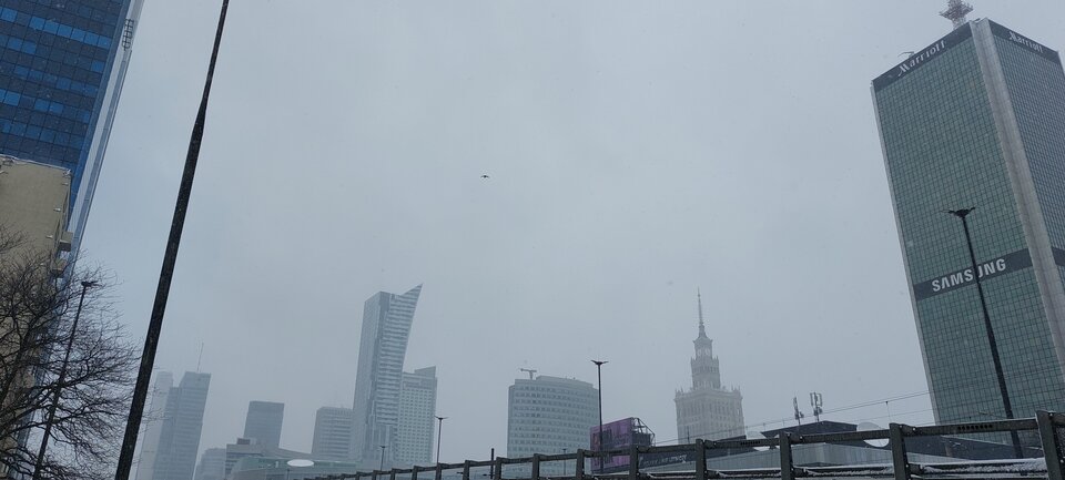 20220402_112556.jpg - Lichod