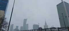 20220402_112556.jpg