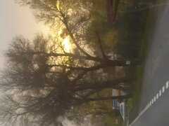 IMG_20211021_170927.jpg