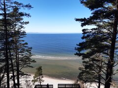 20210309_133452.jpg