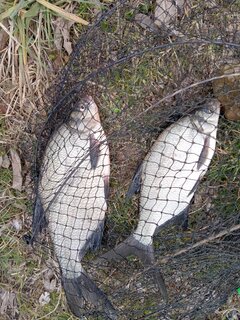 IMG_20220407_164659_294.jpg