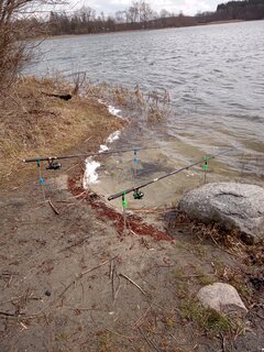 IMG_20220407_121545_637.jpg