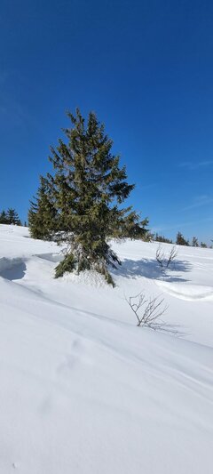 IMG-20220320-WA0013.jpg