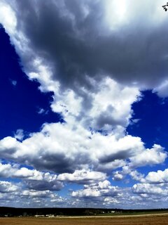 IMG_20210508_142838_edit_507629626527748.jpg