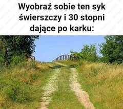 img_1_1649526736640.jpg