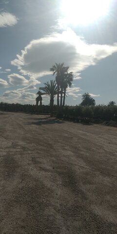 IMG_20220409_101843.jpg