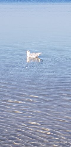 20211010_114357.jpg