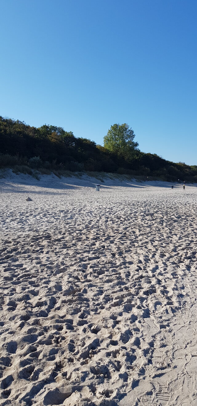 RadekNaturist72