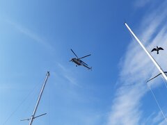20210411_164319.jpg