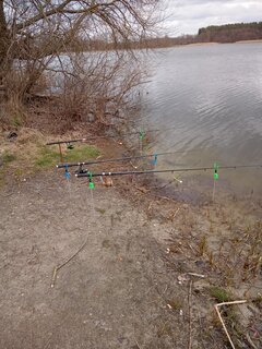 IMG_20220411_125649_446.jpg