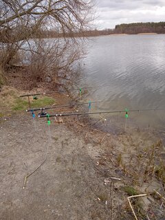 IMG_20220411_125646_898.jpg