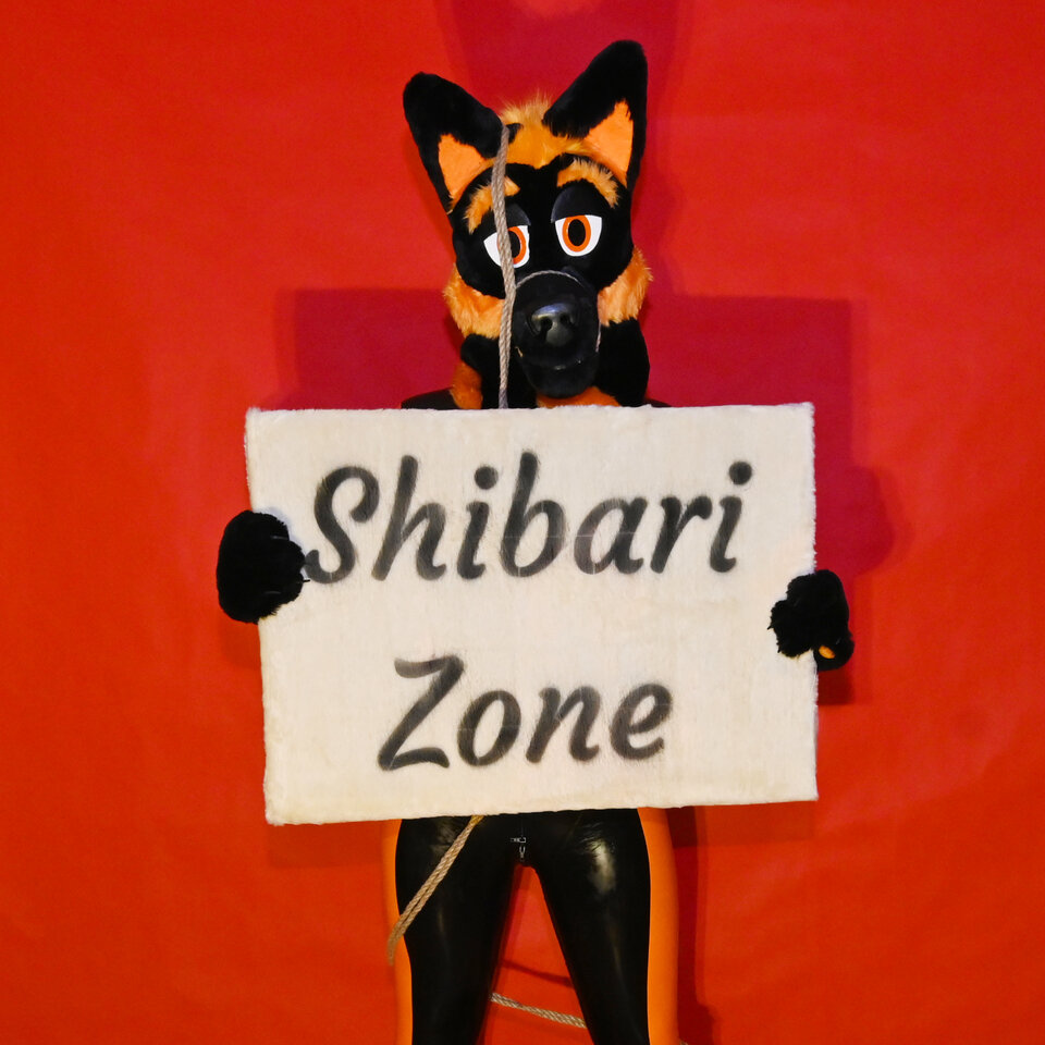 shibari-zone.jpg - Noc_shibari
