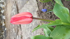 20210502_175303.jpg