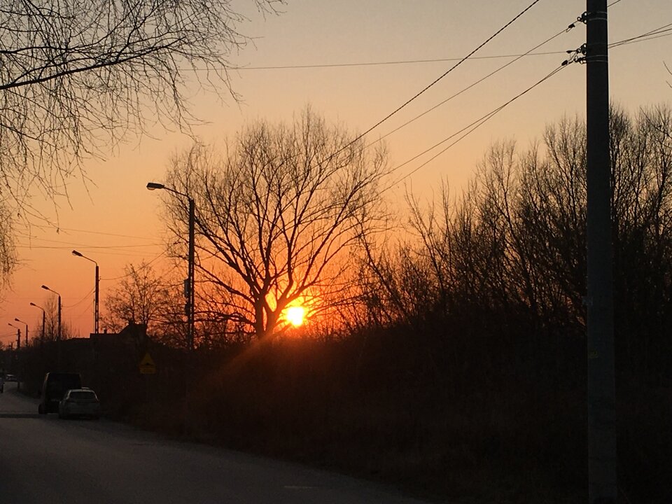 91C4FBB1-9332-4391-B3C1-3BCC20FE713F.jpeg - znudzony_zawiedziony