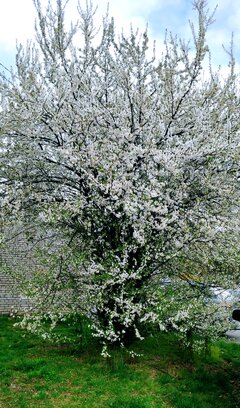 IMG_20220413_235333.jpg