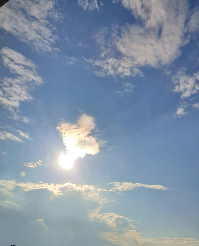 Sh_e