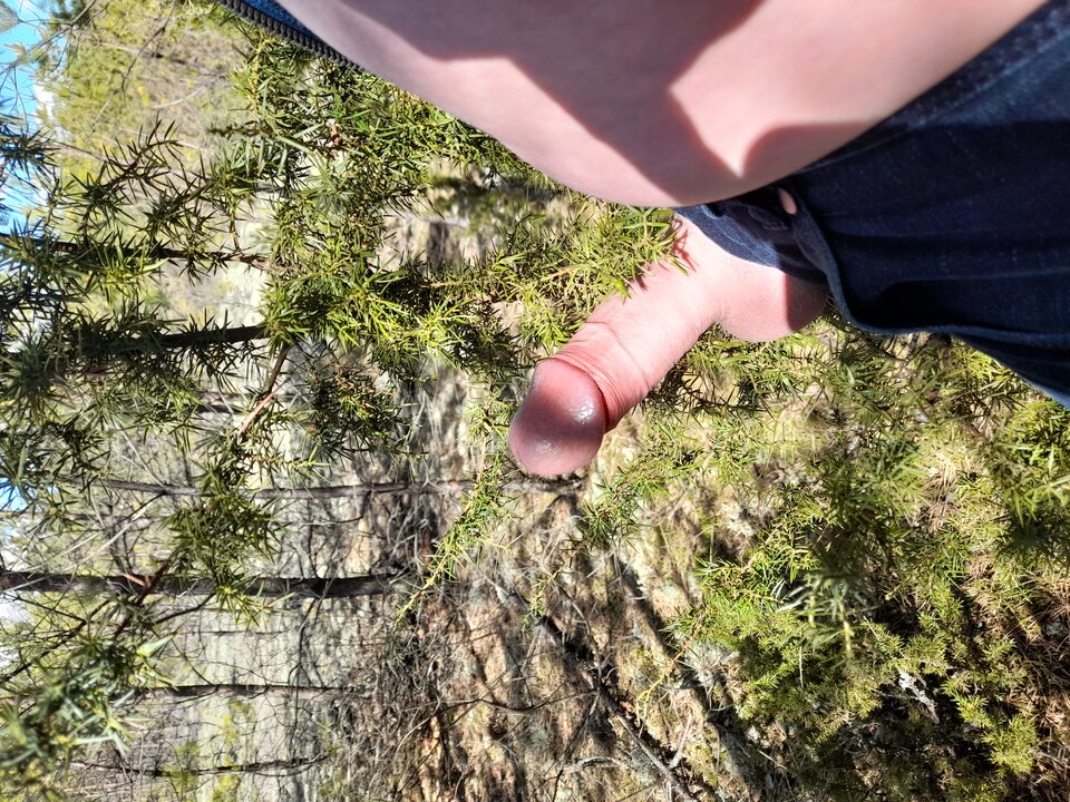 20220417_105137.jpg - hej34