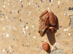 IMG_20220407_132228.jpg