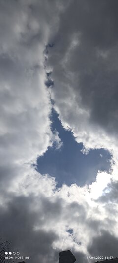 IMG_20220417_115719.jpg