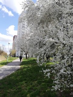IMG_20220417_125321.jpg