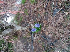 20220403_154331.jpg