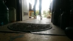 IMG_20220420_122843.jpg