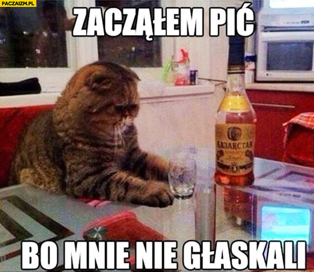 zaczalem-pic-bo-mnie-nie-glaskali-kot.jpg - Guliwer124