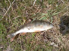IMG_20220420_135209_841.jpg