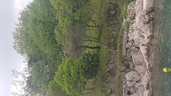 20220423_180126.jpg