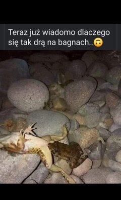 Źabki