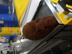 IMG_20220422_010635_01.jpg