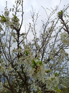 IMG_20220425_190058.jpg