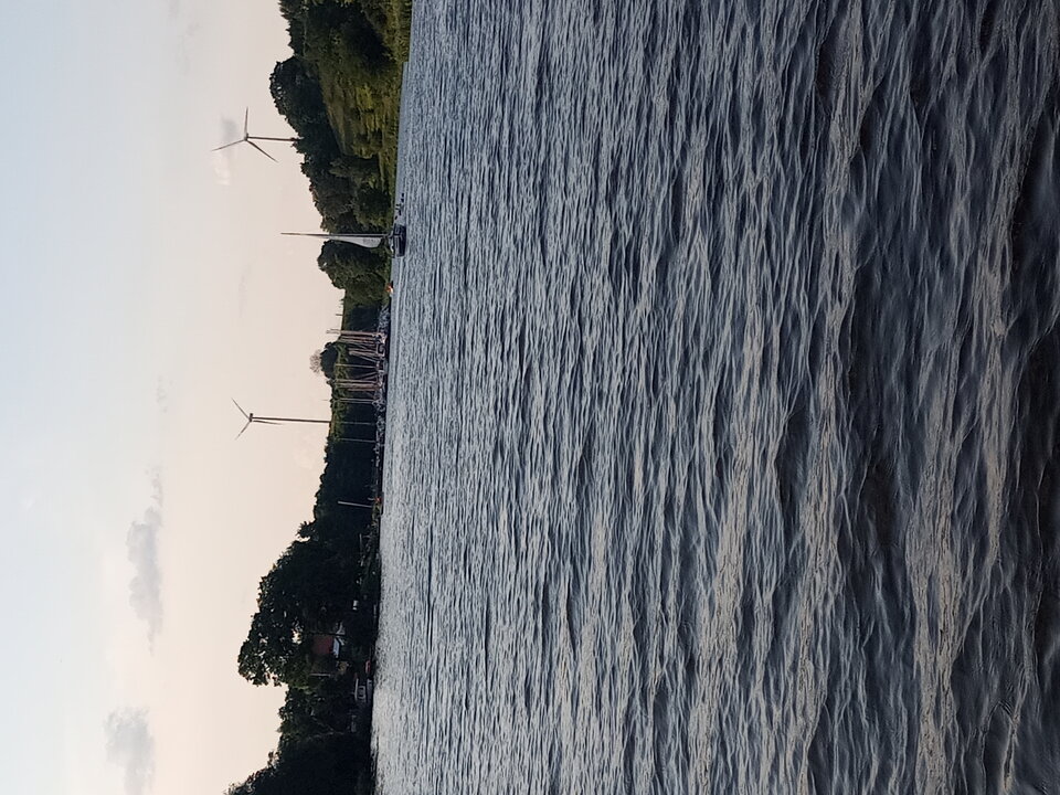 20210807_183304.jpg - Mysza2222