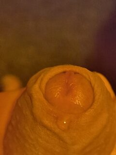 1651014182318.jpg