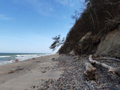 20220421_114146.jpg