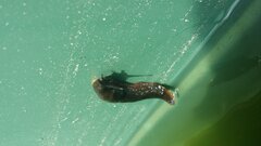 20170708_124529.jpg