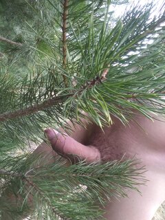 IMG_20220427_170230[1].jpg