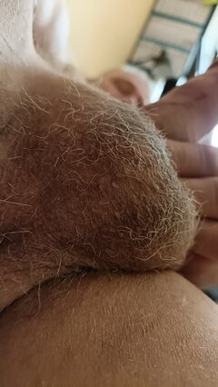 IMG20220428101758.jpg