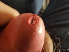 IMG_20220419_074923.jpg