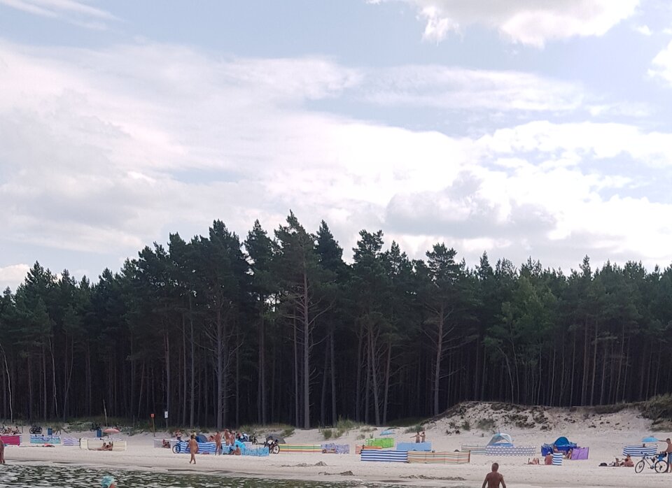 20220430_221529.jpg - Otwarty35x