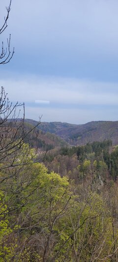 20220430_162734.jpg