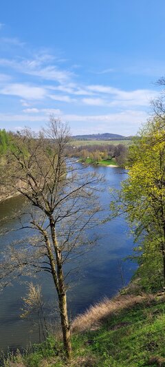 20220429_131008.jpg