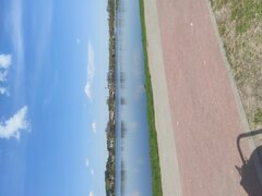 IMG_20220501_124828.jpg
