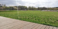 IMG_20220503_094630.jpg